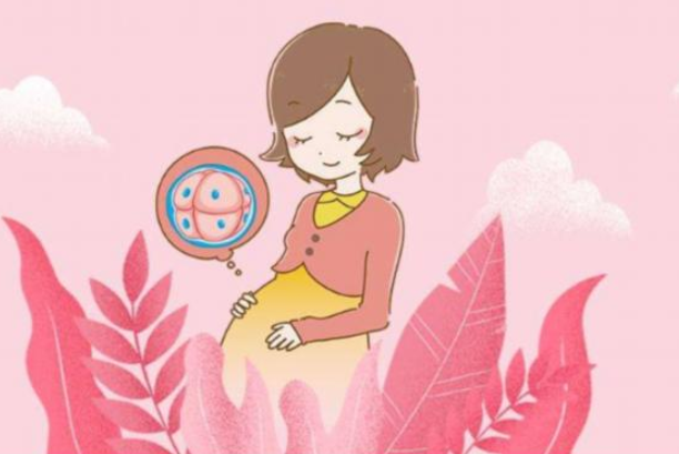 泰國試管嬰兒費(fèi)用是多少？泰國試管嬰兒成功率高嗎？